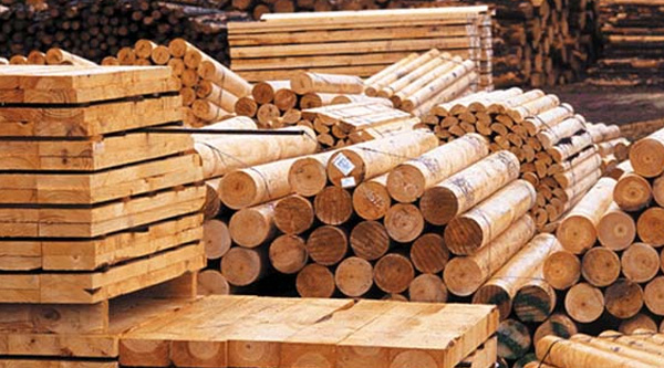 Orman Ürünleri Orman Ürünleri